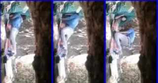 သစ်ပင်အောက်ကအတွဲချောင်းရိုက်